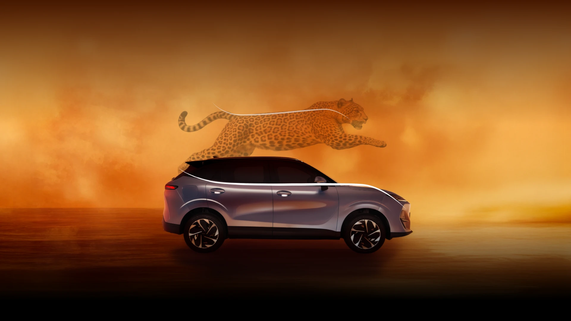 LEPAS E4 Leopard Aesthetics