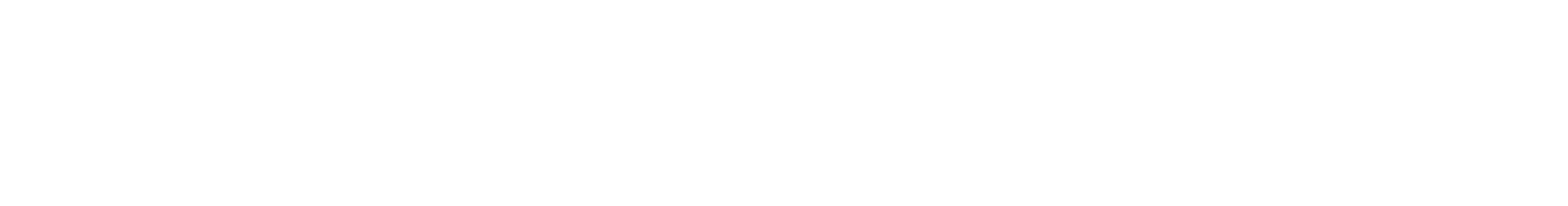 LEPAS L4 Logo